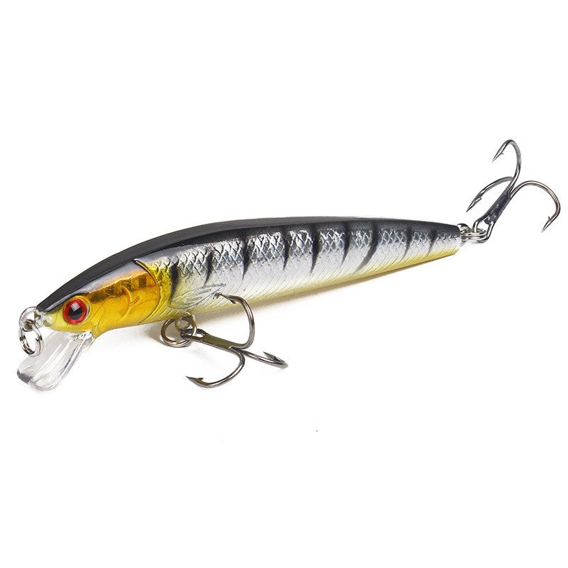 Long Tail Minnow Fishing Lure 10cm 9g Floating Hard Bait Artificial Wobbler Crankbait 3D Eye 10 Color Carp Perch Fishing Tackles