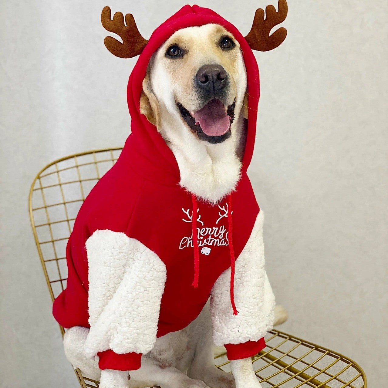 Roupa de Cachorro Pet Inverno Quente Algodão Fleece Moletom Filhote de Cervo Natal Cães Grandes Golden Retriever Labrador