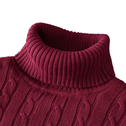 Autumn and Winter Men's Sweater Thin Elastic Fine Knitted Warm Top Versatile High Neck Solid Color Tight Fitting Pullover Top