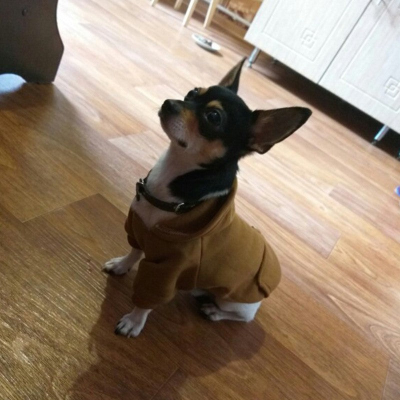 Moletons Sólidos para Cães Roupas para Pets Pequenos Casacos Jaquetas Moletom para Chihuahua Fantasia de Gato Roupinhas de Algodão para Pets