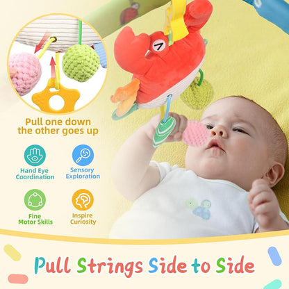 Car Seat Toys Newborn Toys Stroller Toy Baby Toys Carseat Toy for Infants for Carseat Stroller Crib with Music Rattles Teether