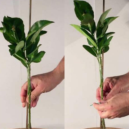 50Pcs 40cm Bamboo Wooden BBQ Skewers Food Bamboo Meat Tool Kitchen Barbecue Party Disposable Long Sticks Catering Grill Camping