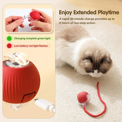 Novo Brinquedo de Bola Interativo para Gatos, Bola Rolante Automática Recarregável para Gatos, Brinquedo Interativo Inteligente para Gatinhos, Brinquedo de Bolas Inteligentes para Gatos