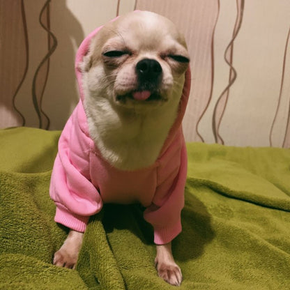 Moletons Sólidos para Cães Roupas para Pets Pequenos Casacos Jaquetas Moletom para Chihuahua Fantasia de Gato Roupinhas de Algodão para Pets