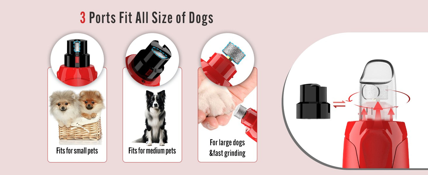 Dog Nail Grinder Dustproof with 2 LED Light - Super Quiet Powerful 6-Speed Nail Trimmer File for Small Medium Large Dogs dog acc