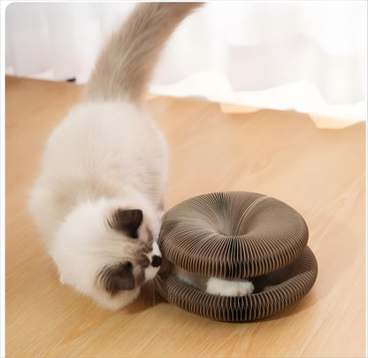 Brinquedo Dobrável Kitten Curl para Gatos Arranhador Mágico de Órgão Durável de Papelão Reciclável Cama para Gatos Arranhador Interativo