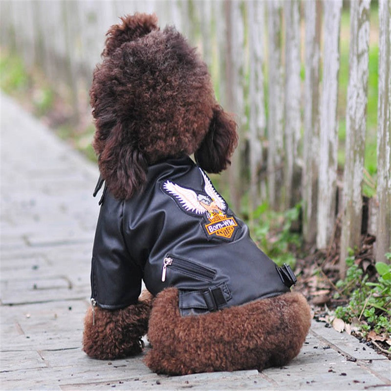 Casaco de Cachorro Padrão Águia Gloriosa Jaqueta de Couro PU Macio Impermeável para Exterior Roupas da Moda para Cães Pequenos (XXS-XXL)