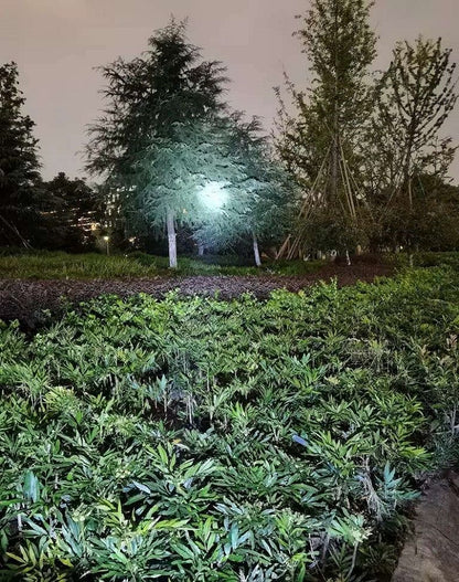 High Power LED Flashlight Super Powerful Handheld Searchlight USB Rechargeable Tactical Torch Portable Outdoor Work Camping Lamp