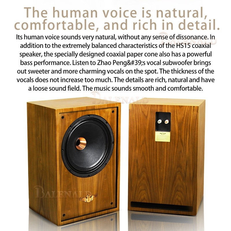 hifi speaker Banlong de alta fidelidade de 12 polegadas com bass coaxial de estante, alto-falantes hifi de alta fidelidade passivos em folha de madeira