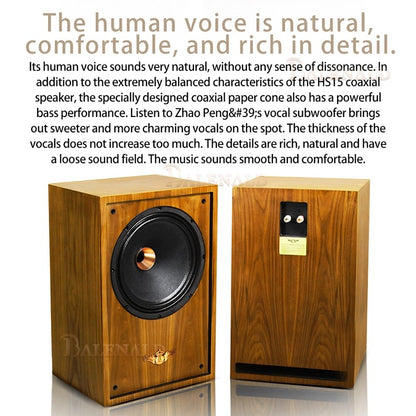 hifi speaker Banlong de alta fidelidade de 12 polegadas com bass coaxial de estante, alto-falantes hifi de alta fidelidade passivos em folha de madeira