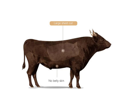 Women Cowhide Genuine Leather Tote Bag Lady Designer Luxury Soft Leather Handbag Fashion Crossbody Bags Female Shoulder Handbag