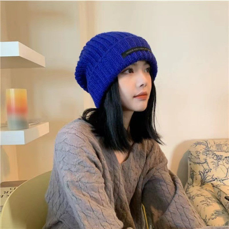 Warm Knit Beanie Hat for Women Fall Winter New Arrival Soft Cozy Applique Design Cold Weather Fashion Accessories