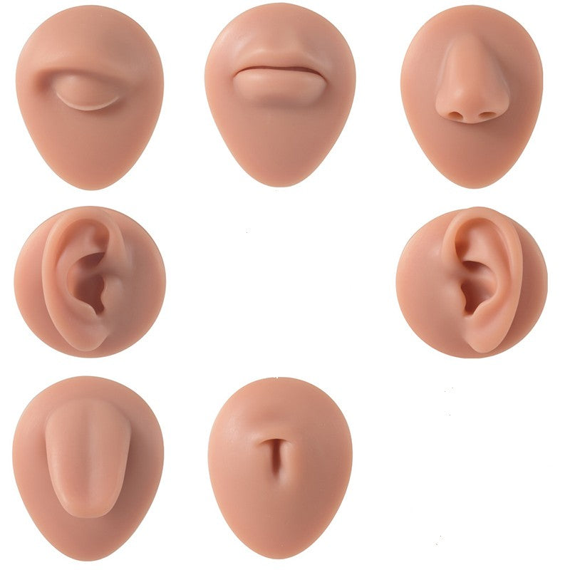1PC Soft Silicone Simulation 1:1 Ear Nose Navel Nipple Model Practice Piercings Tools Jewelry Display Teaching Tool Accessories