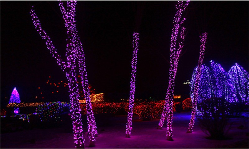 5M 10M 20M 30M 50M 100M Waterproof Outdoor 110V/220V LED String Light For Christmas Tree New Year Weeding String Lamp