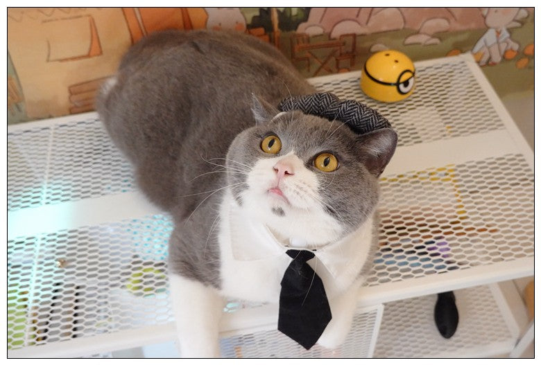 Chapéu Engraçado Para Gatos de Estimação, Boina, Gravata Borboleta, Fantasia de Banho, Gângster Bonito, Adereço de Foto, Fantasia de Halloween Para Animais de Estimação