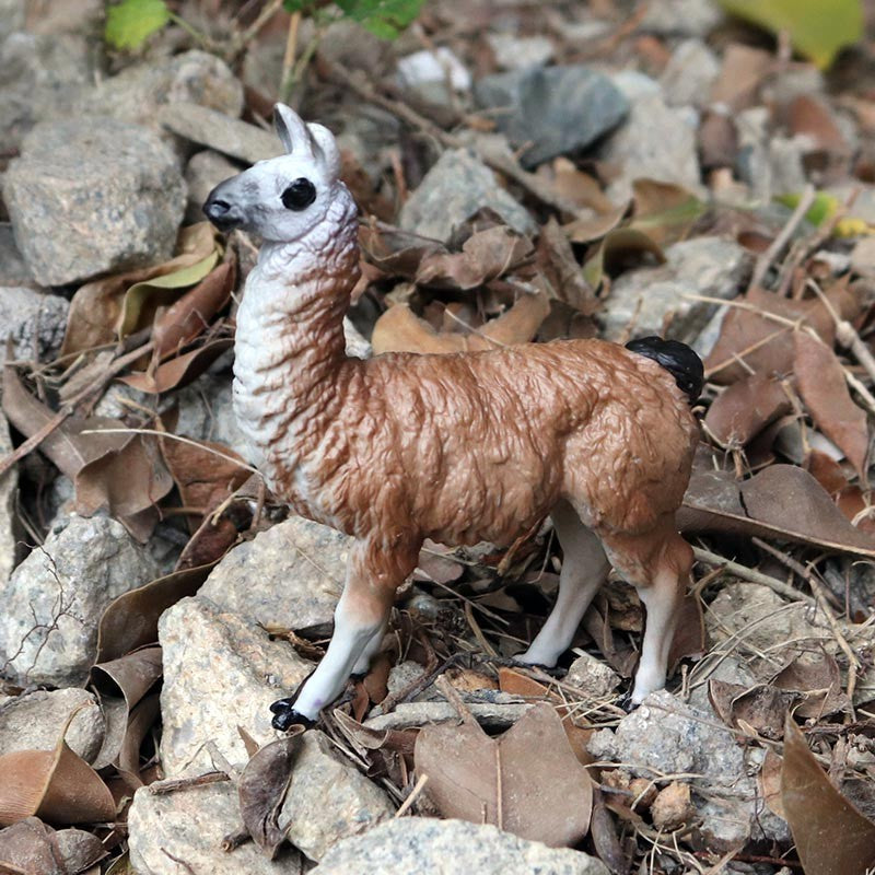 Oenux Simulação Animais Selvagens Brinquedo Camelo do Deserto Burro Alpaca Antílope Cervo Veado Modelo Bonecos de Ação PVC Decoração Presente Infantil