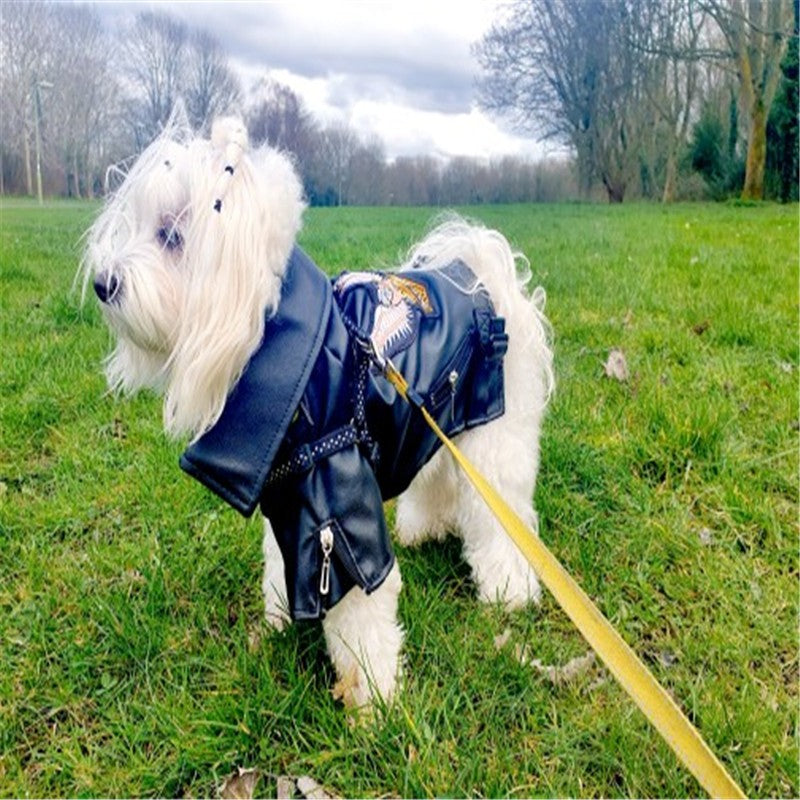 Casaco de Cachorro Padrão Águia Gloriosa Jaqueta de Couro PU Macio Impermeável para Exterior Roupas da Moda para Cães Pequenos (XXS-XXL)