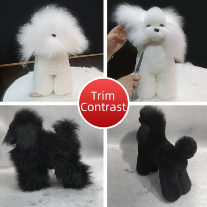 Modelo profissional de cachorro para prática de tosa, esqueleto padrão de cachorro, modelo de simulador de tosa para pets