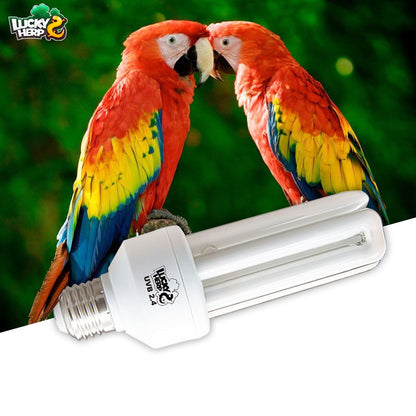 Lâmpada Fluorescente Compacta para Pássaros, 2.4% UVB, 20W, Rosca