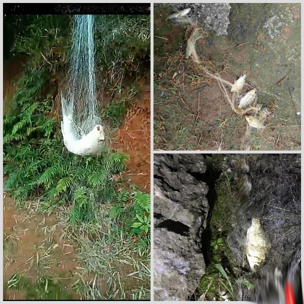 Rede de Pesca de Alta Qualidade, Fio de Alta Qualidade, Aço de Alto Carbono, Rede de Emalhar Azul Esverdeada, Contas Luminosas, Acessórios de Pesca de Cardume de Cobre