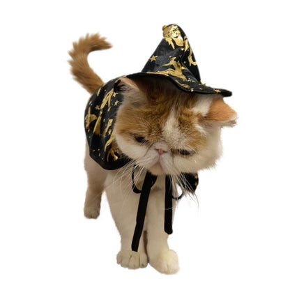 Nova Capa de Bruxa de Halloween, Capa de Gato Mago, Capa para Pets, Fantasia de Festival, Fantasia de Transformação